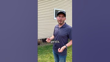 How to apply new mulch