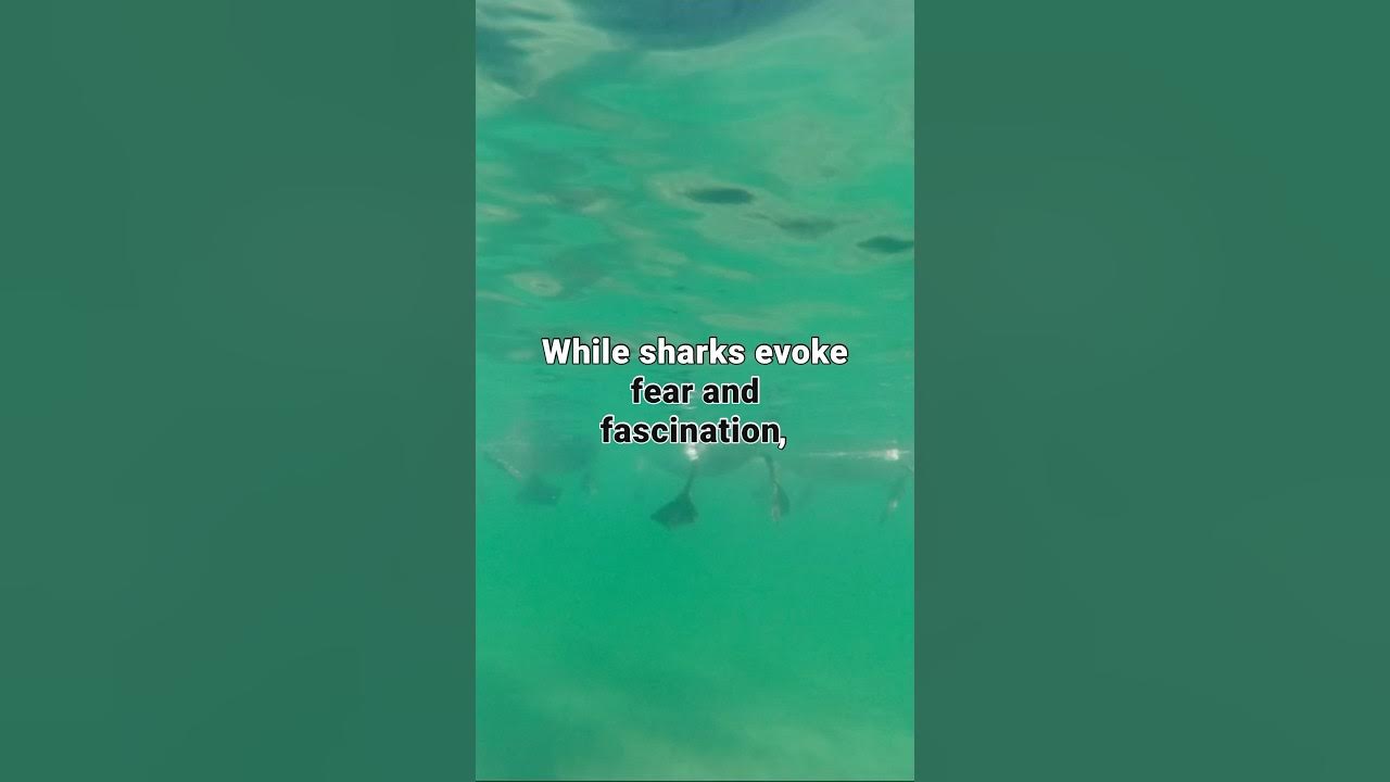 Coconuts Kill More People Than Sharks?! 🥥😱 FunFacts TropicalTruth 