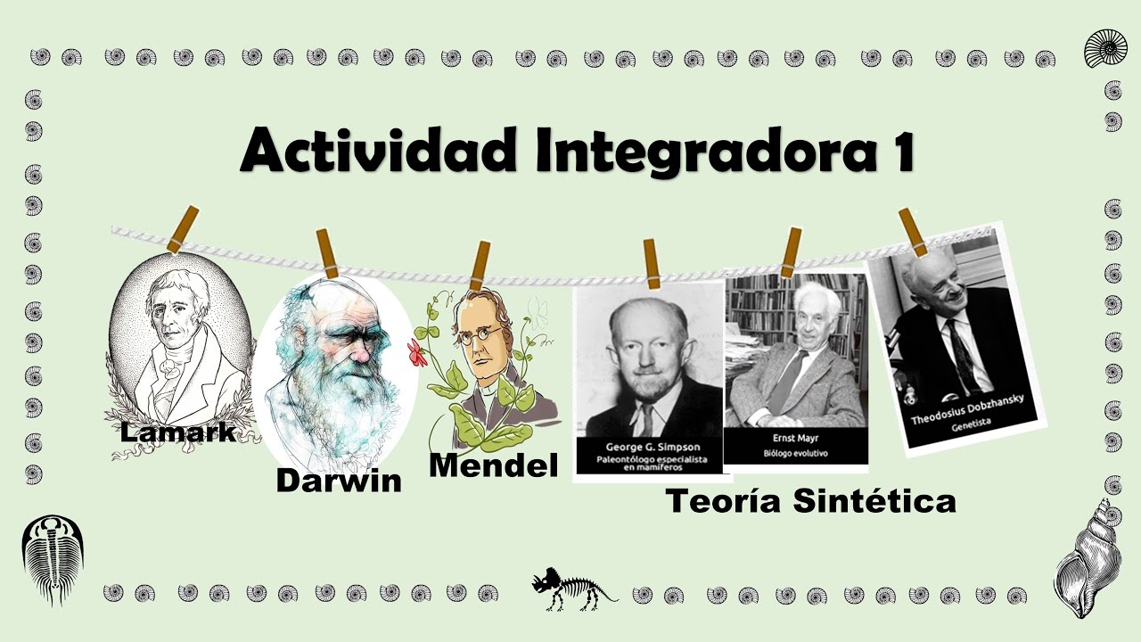 AI1 M16 Posturas de la evolución - YouTube