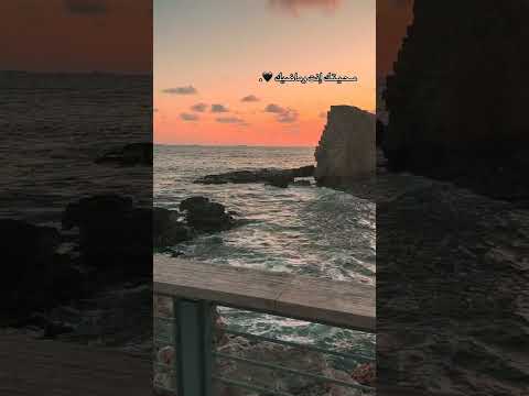 مــحــيــتــك أنــت و مــاضــيــك عرب48 الناصرة كـرمئيل مجد الگروم