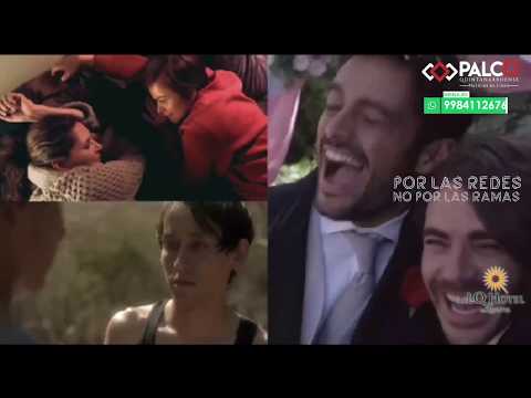 POR LAS REDES, NO POR LAS RAMAS - Queer International Film Festival y tendencias