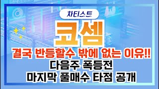 [코셈 주가전망] 세계 최초 10만배율 현미경 개발에도…