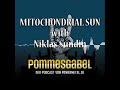 Capture de la vidéo Mitochondrial Sun - Interview With Niklas Sundin - Pommesgabel - Der Podcast Von Powermetal.de