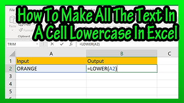 How To Convert Change All Of The Text Characters In A Cell In Excel To Small Lowercase Letters