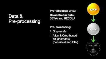 SS-VAERR: Self-Supervised Apparent Emotional Reaction Recognition from Video