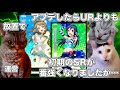 URよりもSRが強くなったラブライブのソシャゲ【猫ミーム】 #猫マニ #猫ミーム