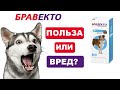 Таблетка от клещей БРАВЕКТО | Совет ветеринара | Ответы на частые вопросы