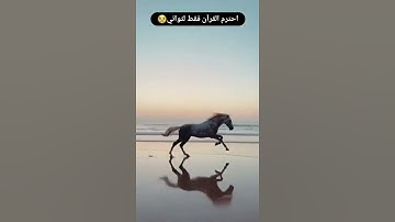 القارئ: ماهر المعيقلي || سورة الكهف|| حالات واتس قرآن كريم
