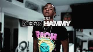 Bris - Need Hammy