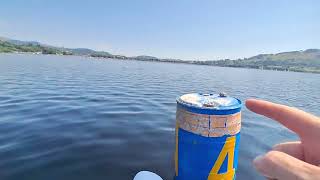 Bala Lake Rock Swap