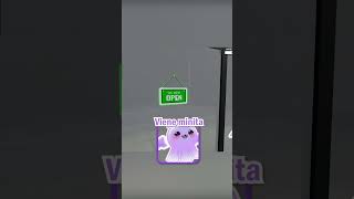 La tienda de mis sueños… #anime #foryou #fpy #humor #kiuwt #memes #vtuber