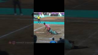 All Out Kabaddi Best Raid Pro Kabaddi