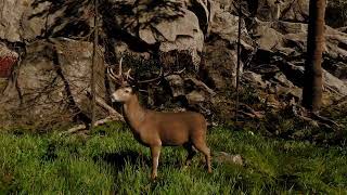 Animated Deer 3D Model - WildMesh 3D