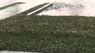 Pea to Quarter Sized Hail Comes Down in Conway