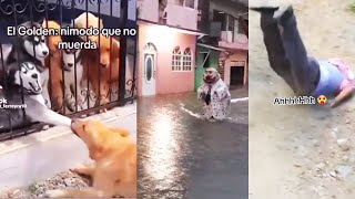 Lo Más Gracioso Del Internet Parte 02 Videos Virales De Risa Agosto 2023