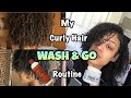 WASH &amp; GO ON NATURAL HAIR (WETLINE XTREME GEL!)💁🏽‍♀️