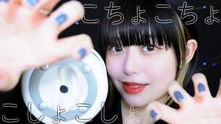 【ASMR地声】くすぐりオノマトペ?こちょこちょ・こしょこしょ + ハンドムーブメント