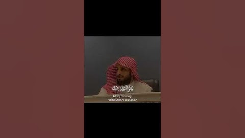 سورة فصلت _ القارئ محمد زاهر البارقي 🤎😔.