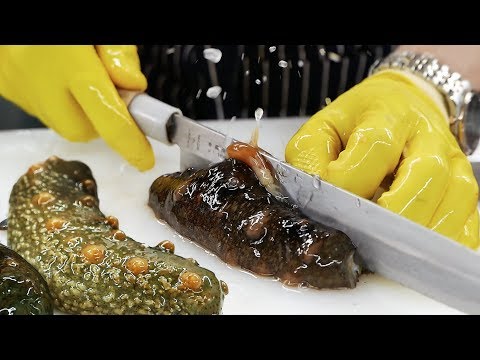 Korean Street Food - SEA CUCUMBER Seafood Korea