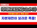마이크로알고, 자본재편이 불러온 폭풍!