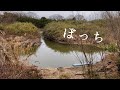 ぼっち池 小物釣り フナ Crucian carp fishing