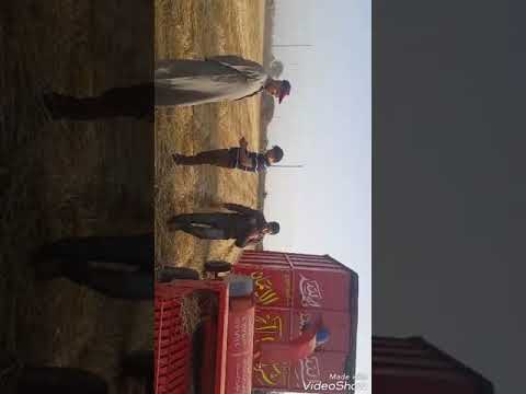 شركة آل صالح