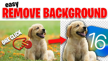 How to Remove Photo Background in iOS 16 Easy! (iOS 16 Tutorial)