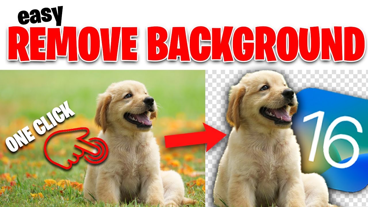How to Remove Photo Background in iOS 16 Easy! (iOS 16 Tutorial) - YouTube