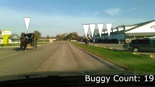 Counting Buggies on the Drive Home by Tyler Nowak 7 views 6 years ago 2 minutes, 36 seconds