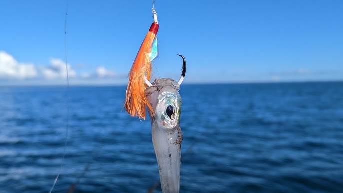 How to Catch Coorong Mulloway!! Fishing for Mulloway in Small