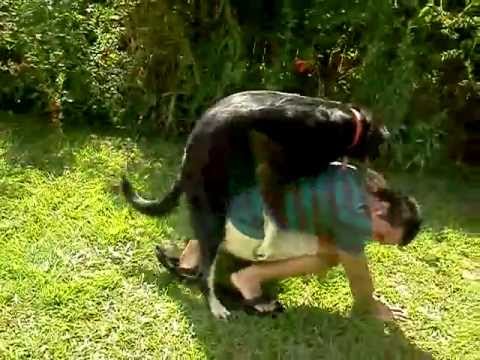Fail Videos Guy Trampoline Humping Dog Fail Videos Guy Trampoline Humping Dog