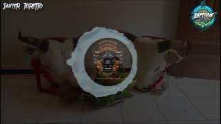 DJ BANTENGAN ~GELANG KALUNG~(PUTRO KI SENTONO SAKTI) KIWIR KIWIR GROUP REMIXER BY ARPEDAM PROJECT