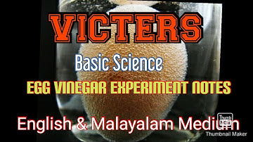 Victers STD 7 Basic Science Egg & Vinegar Experiment Notes English & Malayalam Medium 20 November