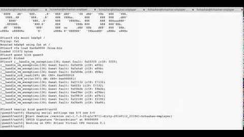 Xvisor x86_64 Early Guest Boot (Seabios Boot)