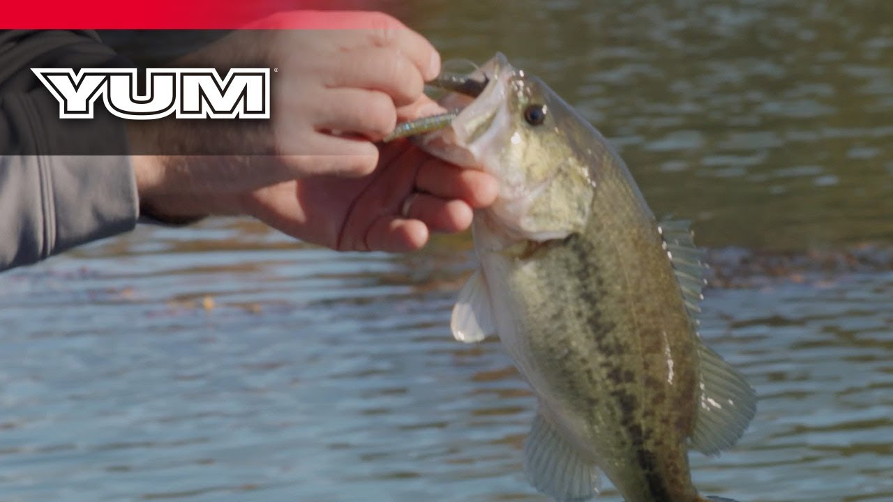 How To Fish The YUM Dinger 