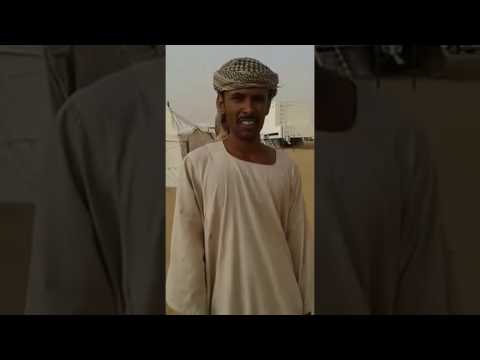 راعي سوداني ينقذ طيار اردني بعد سقوط طائرته في نجران