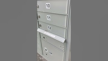 Checking the Mailbox!! 📪 ✉️📤📨