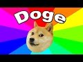 What is doge the history and origin of the dog meme explained