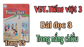 Vở bài tập tiếng việt lớp 3 sách cánh diều trang 65 Bài đọc 3 Trong nắng chiều