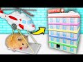 Hamster Hospital Maze 🏥 5-level Maze for Hamsters Show