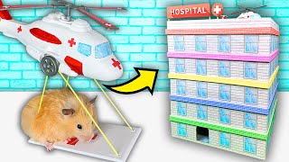 Hamster Hospital Maze  5level Maze for Hamsters Show