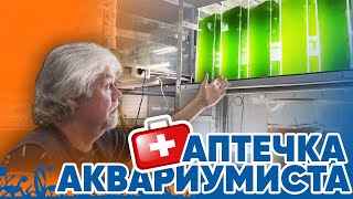 видео: Аквариумные новости с Владимиром Ковалёвым (14.11.2024). Аптечка аквариумиста. картинка: Аквариумные новости с Владимиром Ковалёвым (14.11.2024). Аптечка аквариумиста.
