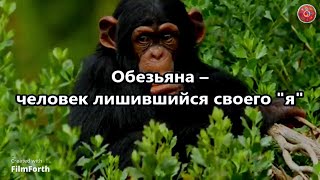 Обезьяна – человек лишившийся своего «я».