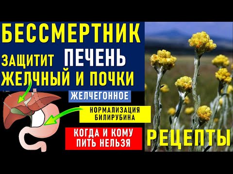 Бессмертник - для Печени, Желчного пузыря, почек, желудка. Трава для печени, здоровья ЦМИН песчаный