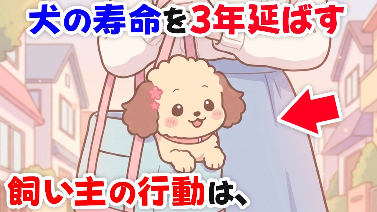 【知らないと後悔】今日からできる愛犬の寿命を3年延ばす12個のこと｜犬雑学