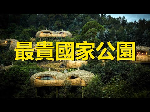 世界最貴的公園，僅參觀許可證就要1萬元，還得提前半年預約，盧旺達火山國家公園，Parc National des Volcans，Rwanda，the most expensive park