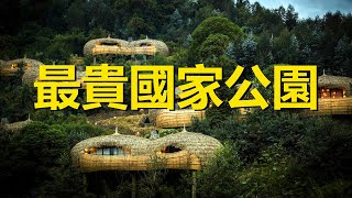 世界最貴的公園，僅參觀許可證就要1萬元，還得提前半年預約，盧旺達火山國家公園，Parc National des Volcans，Rwanda，the most expensive park