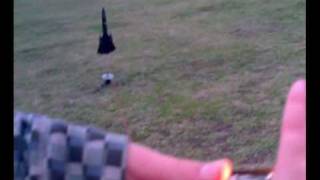 Estes SR-71 Blackbird Model Rocket