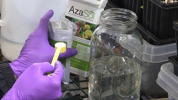 An Introduction to Arborjet: Who Are We, and How Can We Save Your Trees?