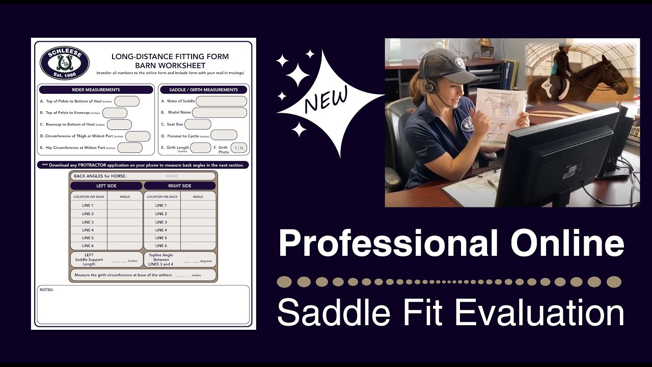 Schleese's NEW Professional Online Saddle Fit Evaluation